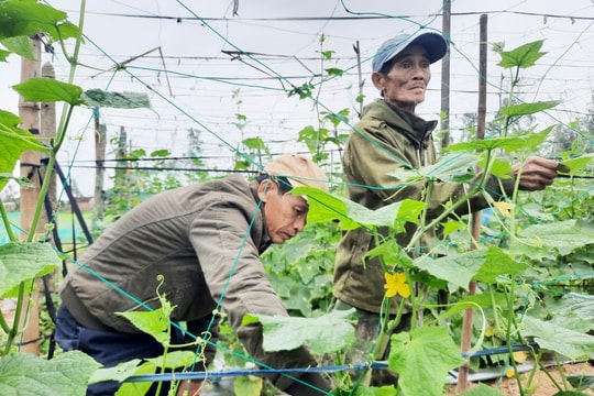Phát triển nền nông nghiệp sinh thái theo hướng bền vững, hiện đại