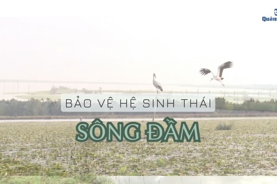 [VIDEO] - Bảo vệ hệ sinh thái sông Đầm