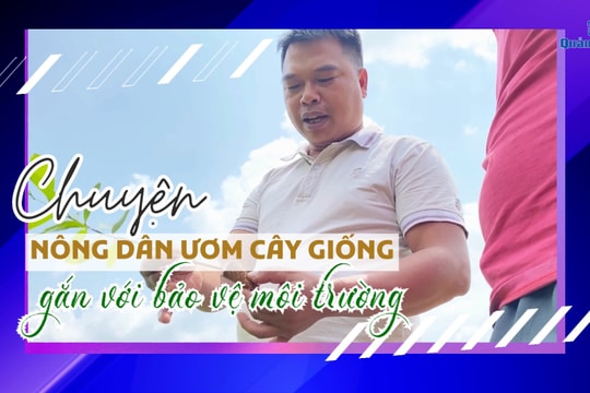 [VIDEO] - Chuyện nông dân ươm cây giống gắn với bảo vệ môi trường