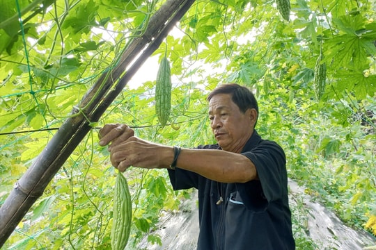 Đại hội điểm Hội Nông dân huyện Đại Lộc dự kiến diễn ra ngày 20 và 21/4