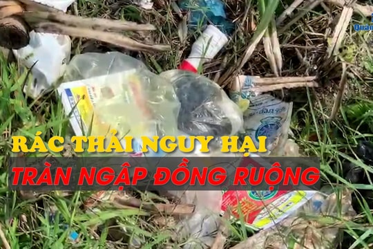 [VIDEO] - Rác thải nguy hại tràn ngập đồng ruộng