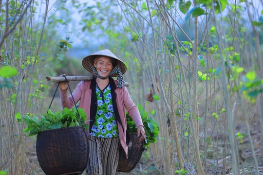Nong, bủa ngậm ngùi...