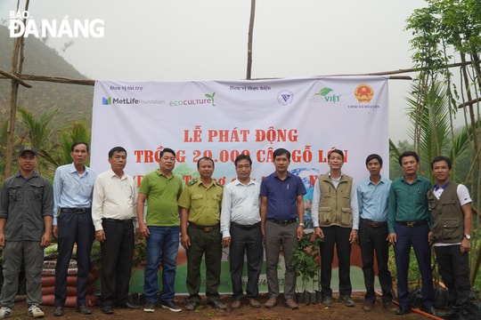 Trồng 20.000 cây gỗ lớn tại xã Hòa Liên