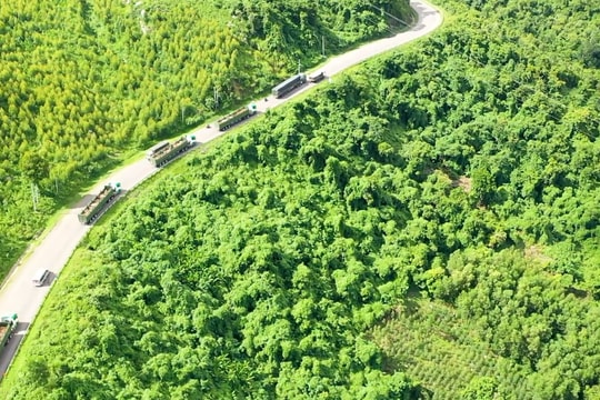 THILOGI mang đến nhiều giải pháp vận tải nội địa tối ưu cho doanh nghiệp