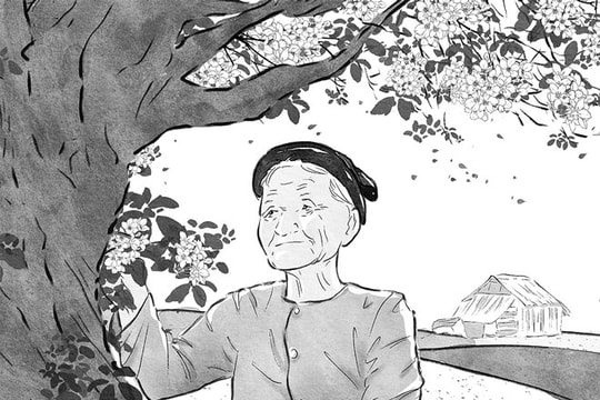 Về với cội nguồn