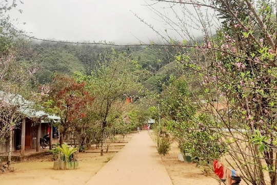 Năm 2023, Tây Giang phấn đấu xây dựng ít nhất 1 mô hình thôn nông thôn mới thông minh