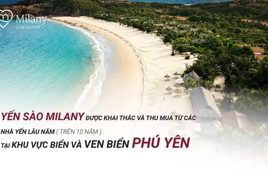 Milany giải quyết nỗi lo yến chưng sẵn kém chất lượng