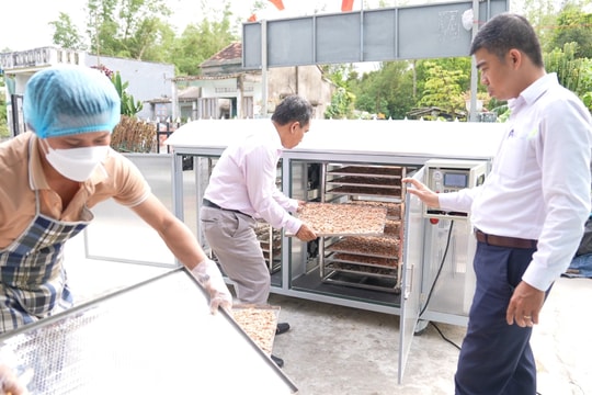 Solar dryer