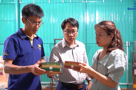 [VIDEO] - Thanh niên Núi Thành với phong trào khởi nghiệp