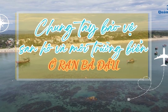 [VIDEO] - Chung tay bảo vệ san hô và môi trường biển ở rạn Bà Đậu