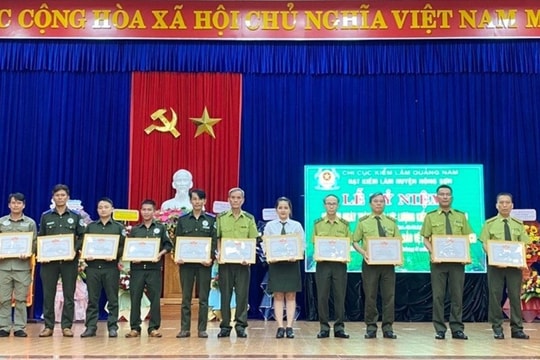 Hạt Kiểm lâm Nông Sơn phối hợp tổ chức 607 đợt tuần tra bảo vệ rừng