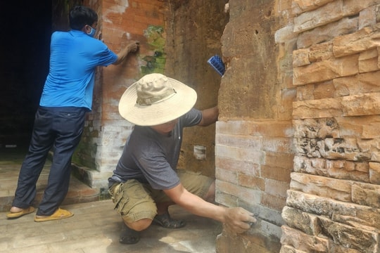 Đề nghị xử lý tình trạng rêu mốc tại tháp Chăm Khương Mỹ