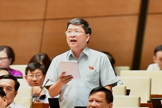 Đề nghị không áp dụng giá trần, giá sàn đối với dịch vụ vận chuyển hàng không