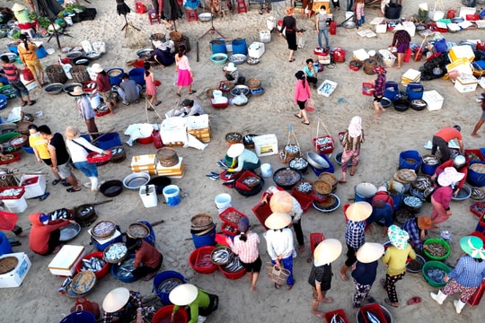 Chung tay bảo vệ môi trường, sinh thái biển đảo