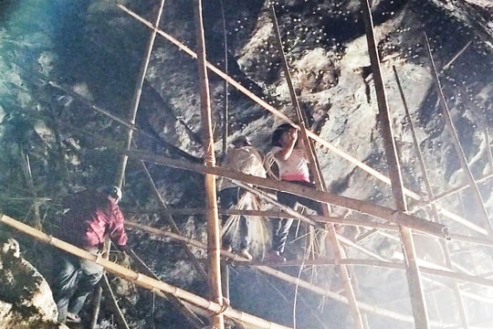 Sản lượng yến sào Cù Lao Chàm sụt giảm mạnh