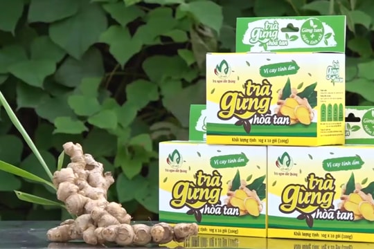 [VIDEO] - Nồng ấm trà gừng hòa tan Cô Một