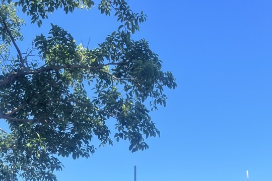 Xã Đại Hưng long trọng đón Bằng công nhận Cây di sản Việt Nam