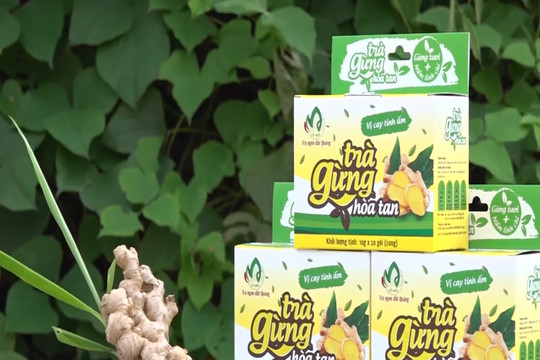 Co Mot instant ginger tea