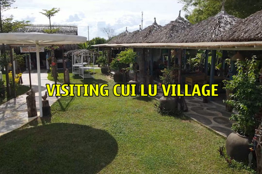 Visiting Cui Lu village