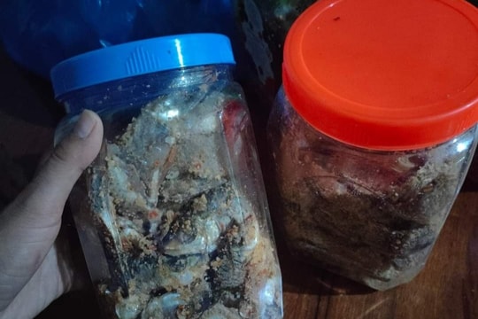 Lại có nhiều trường hợp ngộ độc liên quan món cá ủ chua tại Phước Sơn