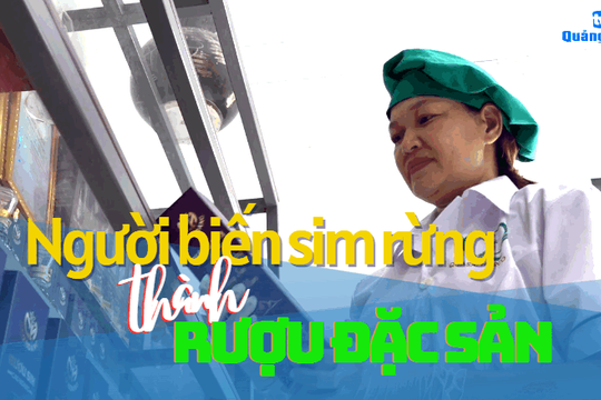 [VIDEO] - Người biến sim rừng thành rượu đặc sản