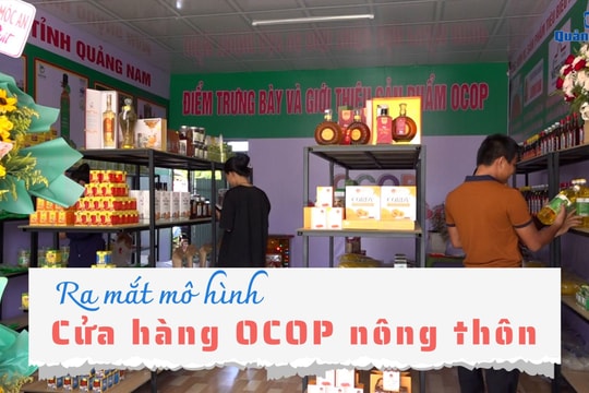 [VIDEO] - Ra mắt mô hình Cửa hàng OCOP nông thôn tại xã Tam Tiến
