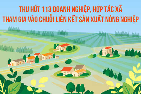 [Infographic] – Thu hút 113 doanh nghiệp, hợp tác xã tham gia vào chuỗi liên kết sản xuất nông nghiệp