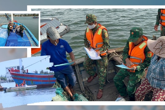 Vẫn còn nhiều trường hợp vi phạm Luật Thủy sản