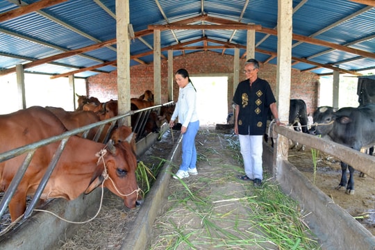 Khởi sắc diện mạo nông thôn mới Bình Quế