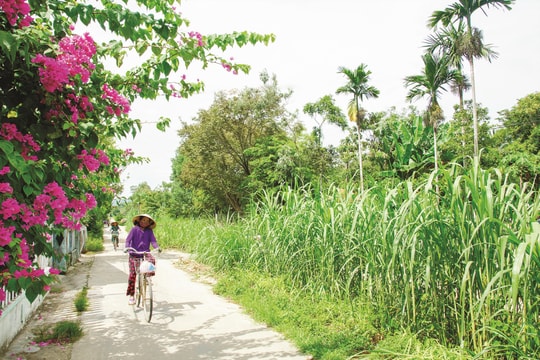 Nghe giọng nói, nhớ quê nhà