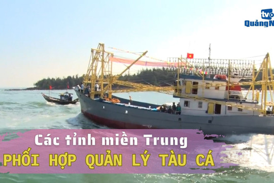 [VIDEO] - Các tỉnh miền Trung phối hợp quản lý tàu cá