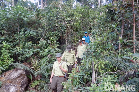 Thăm, tặng quà các trạm quản lý bảo vệ rừng thuộc Ban Quản lý rừng đặc dụng Bà Nà - Núi Chúa