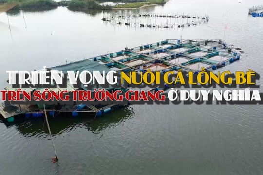 Triển vọng từ nuôi cá lồng bè trên sông Trường Giang ở xã Duy Nghĩa