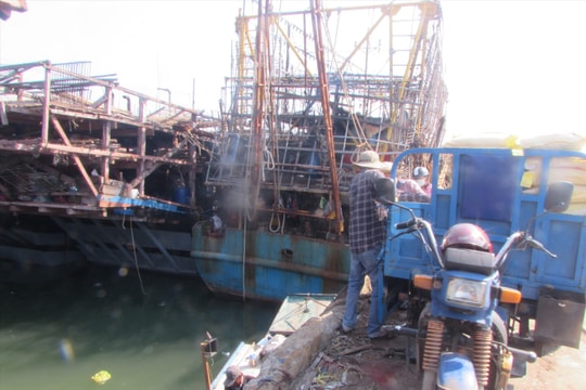 Núi Thành tăng cường giải pháp chống khai thác hải sản bất hợp pháp (IUU)