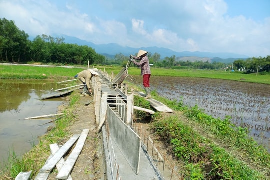 Quế Sơn thắng lợi lĩnh vực trồng trọt