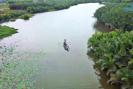 Tich Tay Nipa Palm Forest