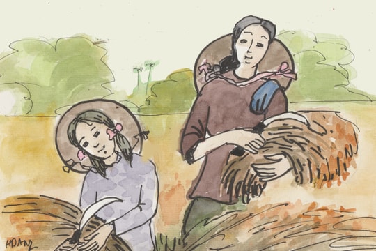 Mùa gặt vắt trong nỗi nhớ