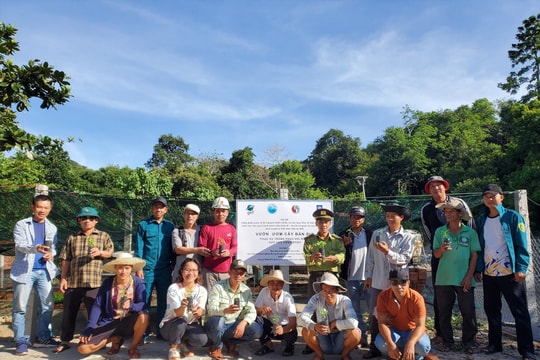 Gia tăng năng lực thích ứng cho khu dự trữ sinh quyển thế giới Cù Lao Chàm - Hội An