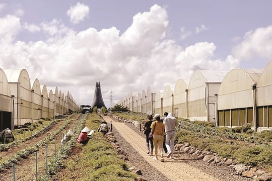 Sống chậm ở Lào