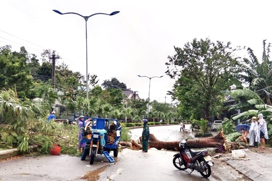 Bắc Trà My: Dông, lốc làm cây cối ngã đổ, mất điện cục bộ