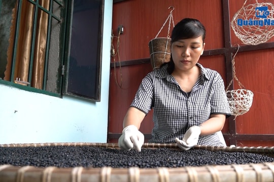 [VIDEO] - Phụ nữ Đại Lộc lan tỏa tinh thần khởi nghiệp