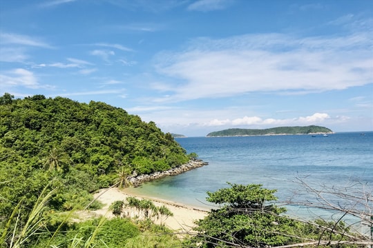 Khẩn trương rà soát hồ sơ thành lập Khu bảo tồn thiên nhiên Cù Lao Chàm