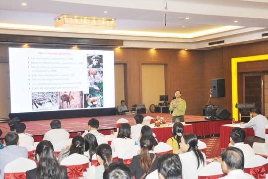 Tam Kỳ kêu gọi chung tay bảo vệ động vật hoang dã