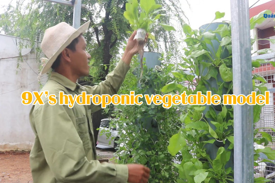 9X’s hydroponic vegetable model