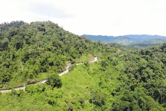 [VIDEO] - Quảng Nam đề nghị điều chỉnh đất lâm nghiệp đến năm 2030