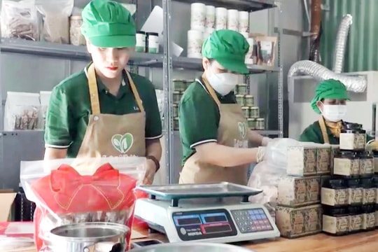 Thăng Bình công nhận 8 sản phẩm đạt chuẩn OCOP 3 sao