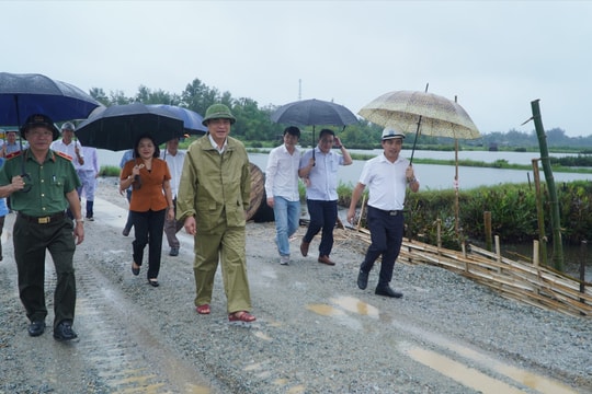 Dự án Liên kết vùng miền Trung tỉnh Quảng Nam: Quyết tâm cao bàn giao mặt bằng dự án