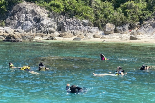 Tham vấn cộng đồng xây dựng kế hoạch quản lý Khu bảo tồn biển Cù Lao Chàm