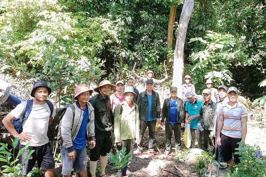 Hỗ trợ Bắc Trà My hơn 585 tấn gạo thực hiện bảo vệ và phát triển rừng