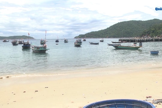 [VIDEO] - Phát triển bền vững nuôi biển tự nhiên kết hợp bảo vệ nguồn lợi thuỷ sản
